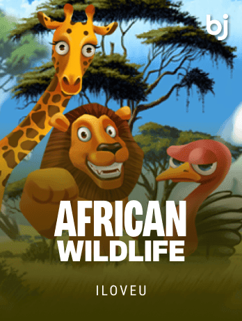 African Wildlife